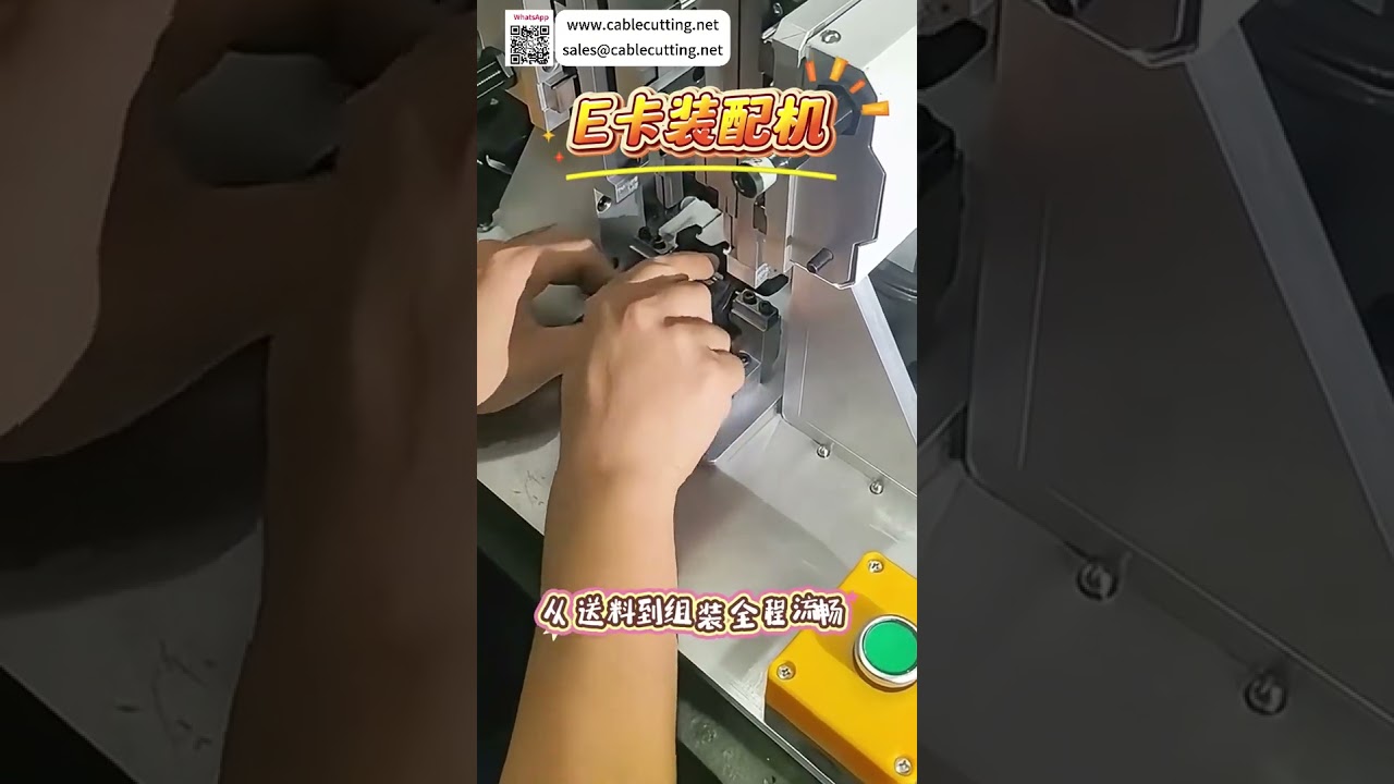Custom E Ring Assembly Machine Factory High Efficiency Automation Production Auto Solutions