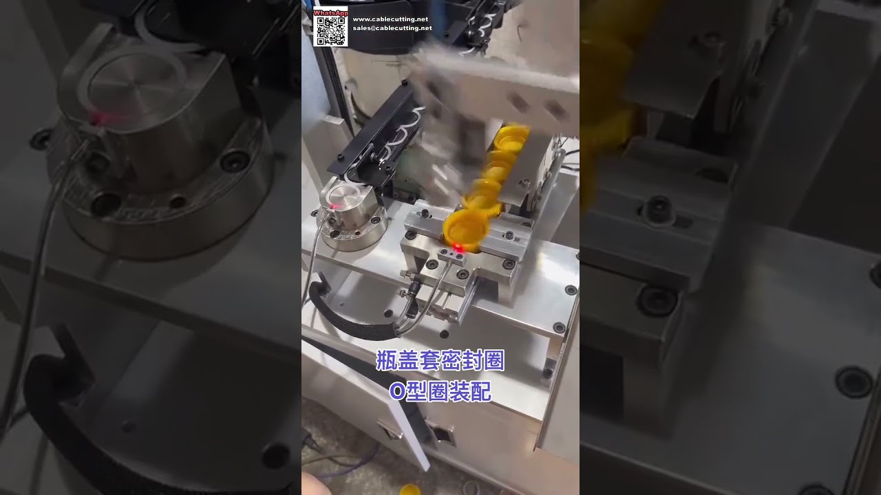 出口級自動O型環組裝機 - 矽膠密封元件專用