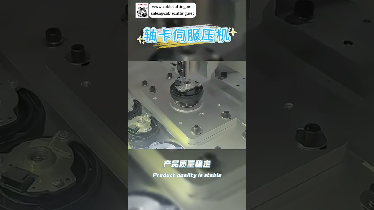 Shaft Circlip Servo Press System High Efficiency Precision Manufacturing Auto Equipment Line