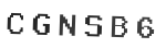 Verification Code Image